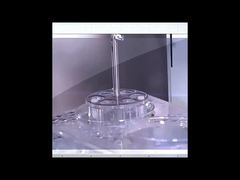 NAD+ Cell Anti Aging Capsule Activates Sirtuins To Reverse Aging Indicators