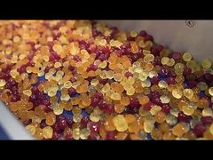 Moringa Seeds Packed Multi Botanical Gummies With Vitamins Minerals