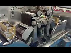 Chlorophyll Capsules Whole Body Deodorant Vitamins Parsley Regulates Microbiome